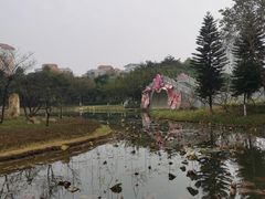 -映月湖公园