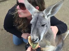 -费瑟代尔野生动物园