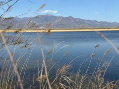 -野鸭湖国家湿地公园