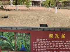 -秀丽东方