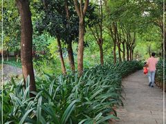 -广州白江湖森林公园