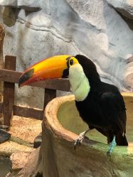 -Zoolung Zoolung动物主题公园(海信广场店)