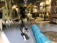 -小时光咖啡馆(开森度假森林店)