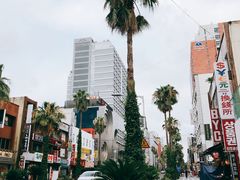 -宝健路步行街(Pedestrian Shopping Street)