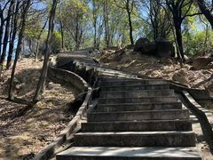-火炉山森林公园