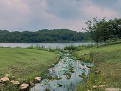 -盘龙城国家考古遗址公园