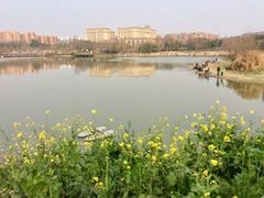 -白鹭湾湿地公园