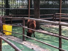 -秀丽东方