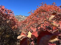 -周口店坡峰岭风景区