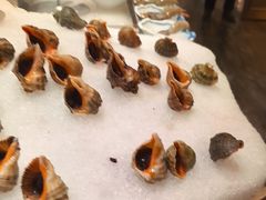 -丰卓会海鲜自助(中润大道店)