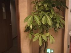 -南轩SPA