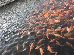 -章樾公园