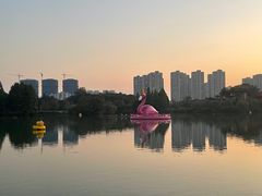 -青枫公园