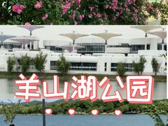 -羊山湖公园
