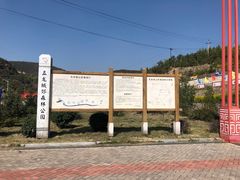 -五龙城郊森林公园