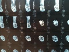 -上海市中医医院(芷江路院区)