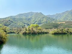 -龙坞茶村