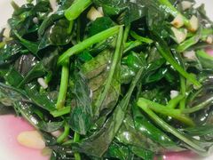 -全乐鱼馆·淳牌有机鱼直营店