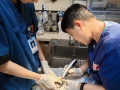 -爱派特动物医院·全科诊疗中心