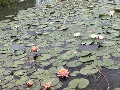 -南北湖风景区