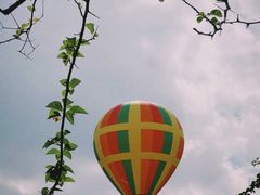 -中国科学院西双版纳热带植物园