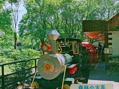 -上海共青森林公园