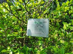 -广州神农草堂中医药博物馆