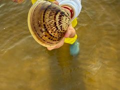 -南戴河国际娱乐中心