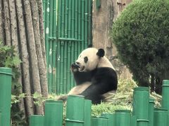 -大连森林动物园