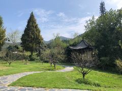 -黄陂区野村谷景区