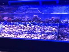 -盛江山自助料理(奥莱锦辉购物广场店)