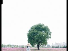 -无锡新湖铂尔曼大酒店