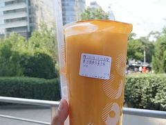 -凯德MALL(望京店)