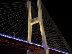 -黄浦江游览快线(金陵东路码头)