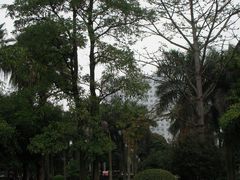 -南宁南湖公园