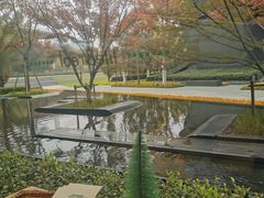 -青麦家·融合餐厅(江岛智立方店)