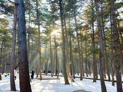 -长春净月潭风景名胜区