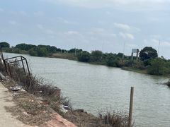 -海鸥岛河景湖大排档