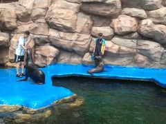 -华夏文旅海洋公园