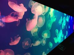 -成都浩海立方海洋公园