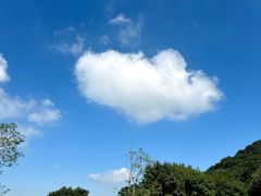 -梧桐山风景名胜区