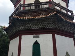 景点-分塔山省级森林公园