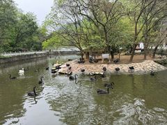 -黔灵山公园