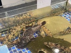 -天盛海鲜烧烤大排档·本地小海鲜·牟平腿穗子(幸福店)