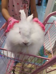 -Moni星球萌宠·小马宝莉·灵蛇·高端高阶全萌宠互动体验俱乐部(红豆国际广场店)