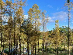 -牛岗山公园