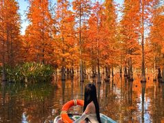 -白鹭湾湿地公园