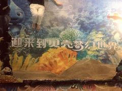 -贝壳梦幻世界