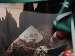 -山与蓝·轻糖鲜果蛋糕(勒泰店)