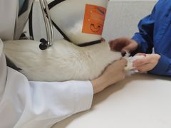 -谐和贝康宠物医院24小时·宠保定点(急重症转诊中心)